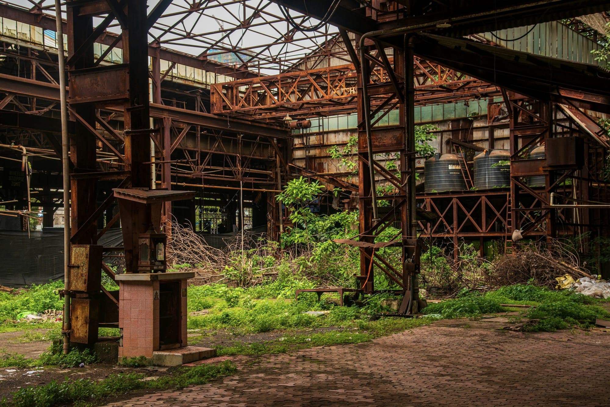 Plants growing inside a disused factory in Byculla, Mumbai