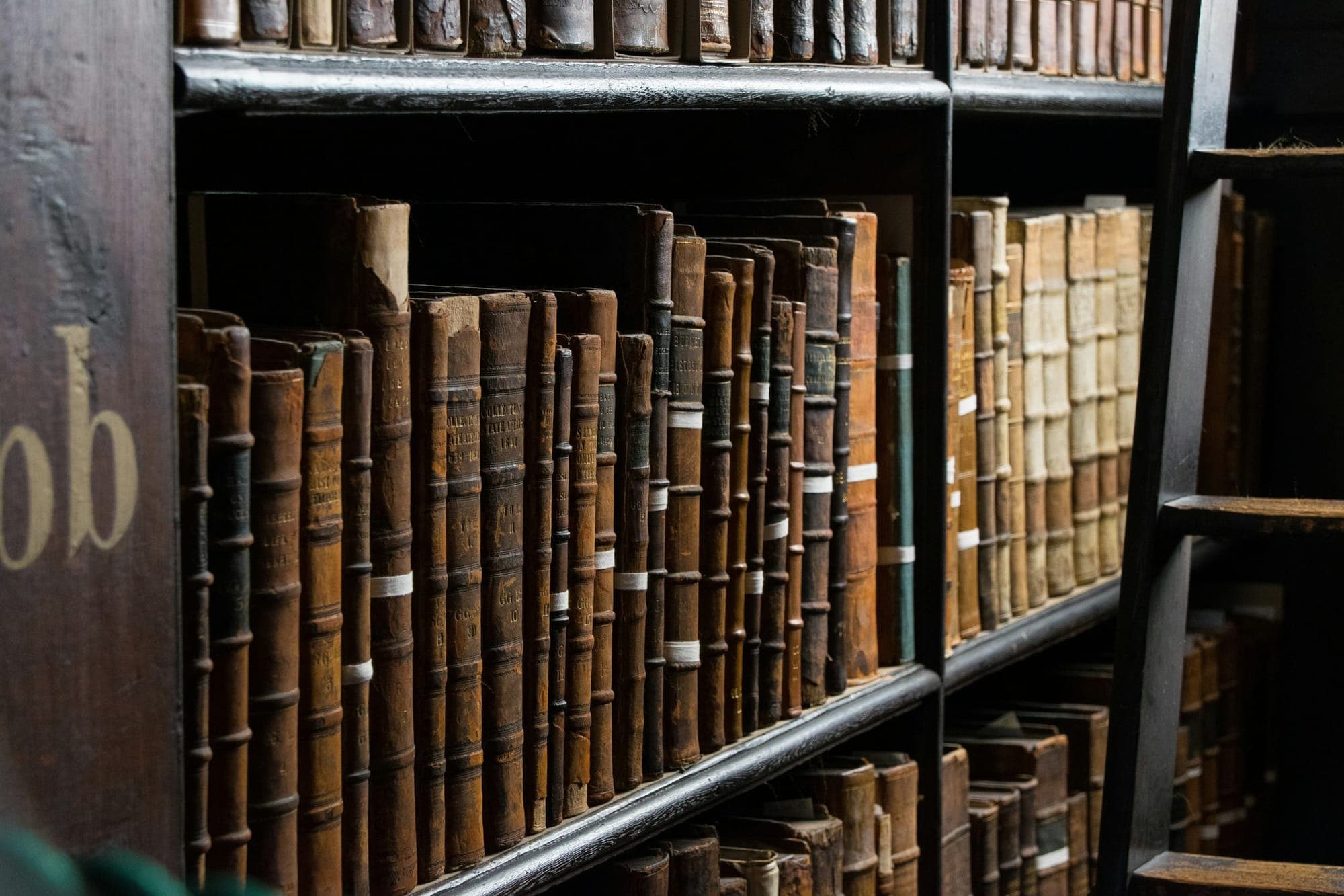 Rows of bound books on library shelves